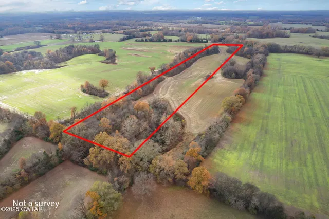 a view of a lake with a mountain