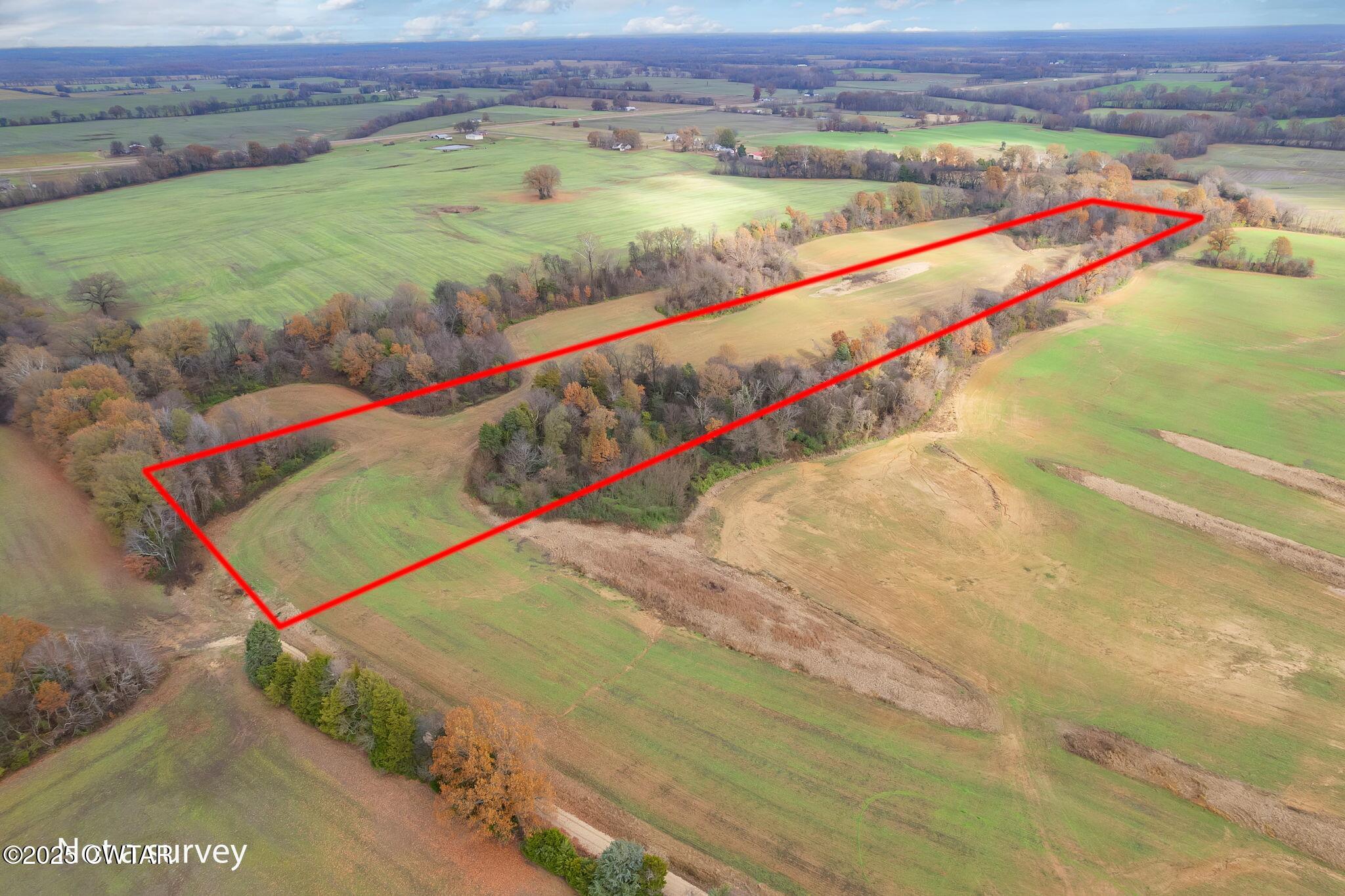 0 Jesse Patterson Road Trenton, TN 38382 - Photo 7 of 31 Long Tract View-Side, Front to Rear