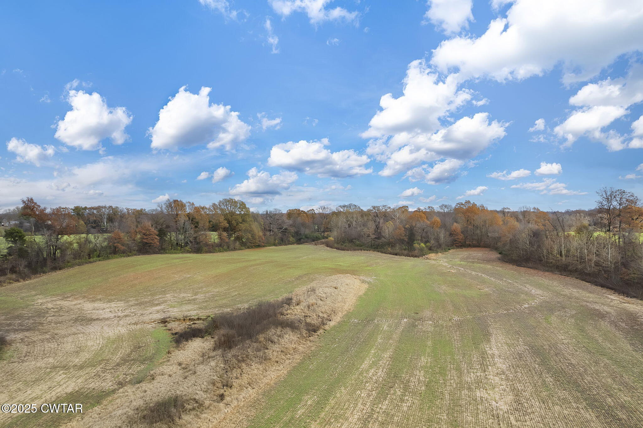 0 Jesse Patterson Road Trenton, TN 38382 - Photo 10 of 31 a view of an outdoor space and yard