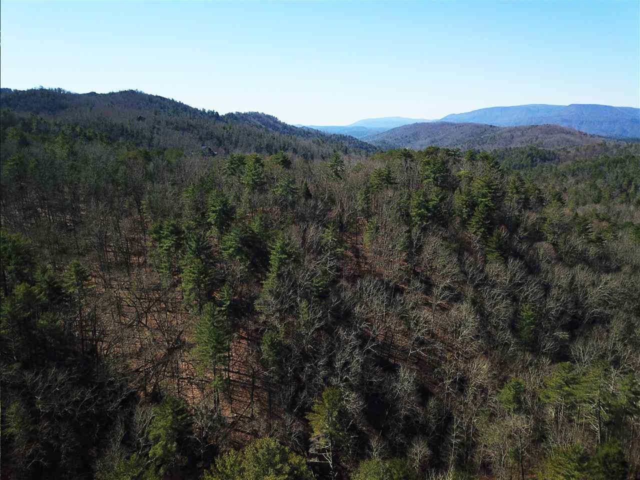 0 Towee Pike Reliance, TN 37369 - Photo 29 of 41