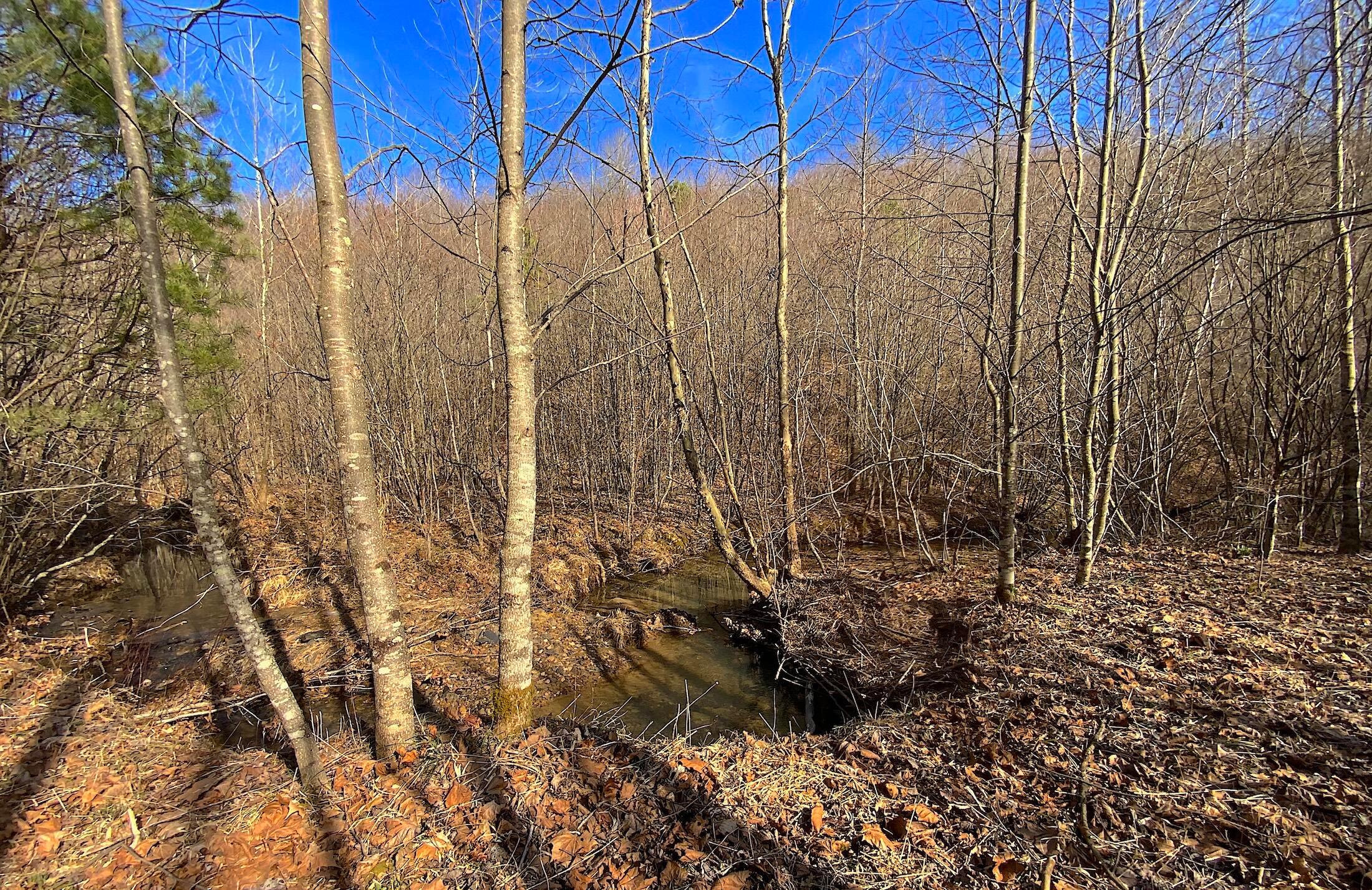 0 Kelly Road Ray, OH 45672 - Photo 28 of 46 Vinton County Kelly Rd 27