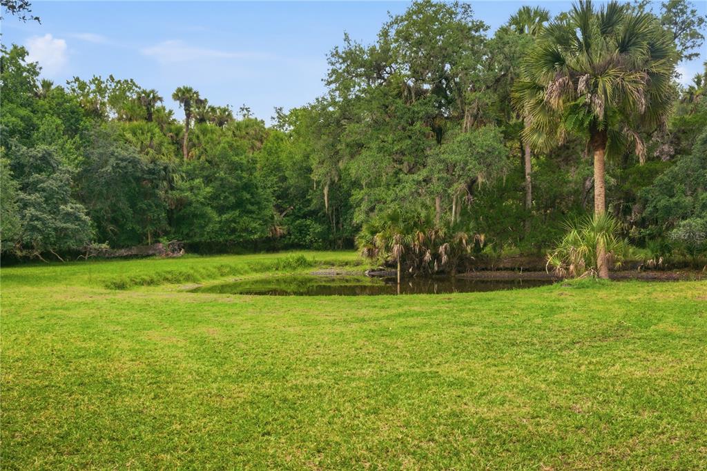 1900 Retreat Road Geneva, FL 32732 - Photo 16 of 42