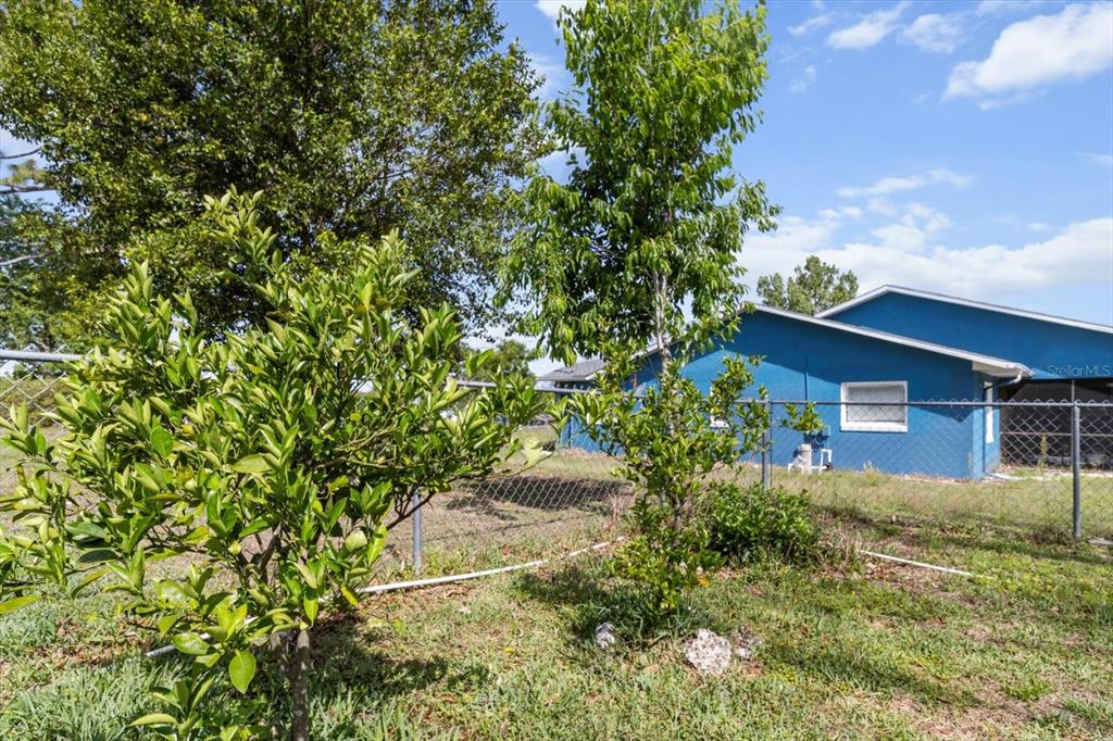 8921 Thoroughbred Point Inverness, FL 34452 - Photo 66 of 85