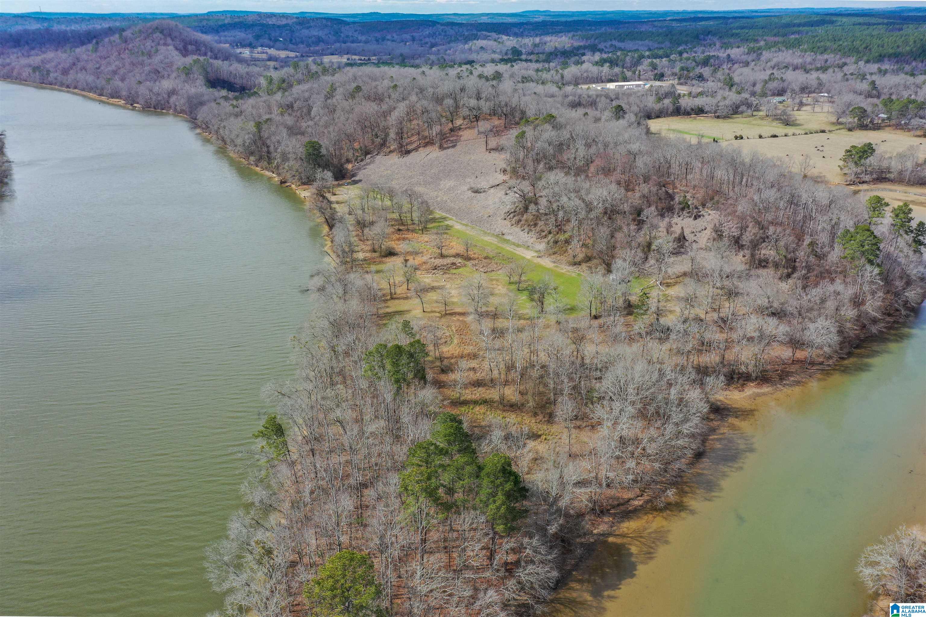 6240 Highway 144, Unit 1/2 Ragland, AL 35131 - Photo 7 of 29