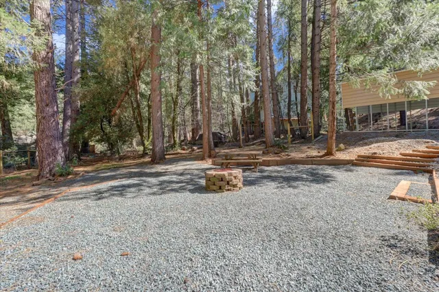 a view of a yard with plants and a large tree