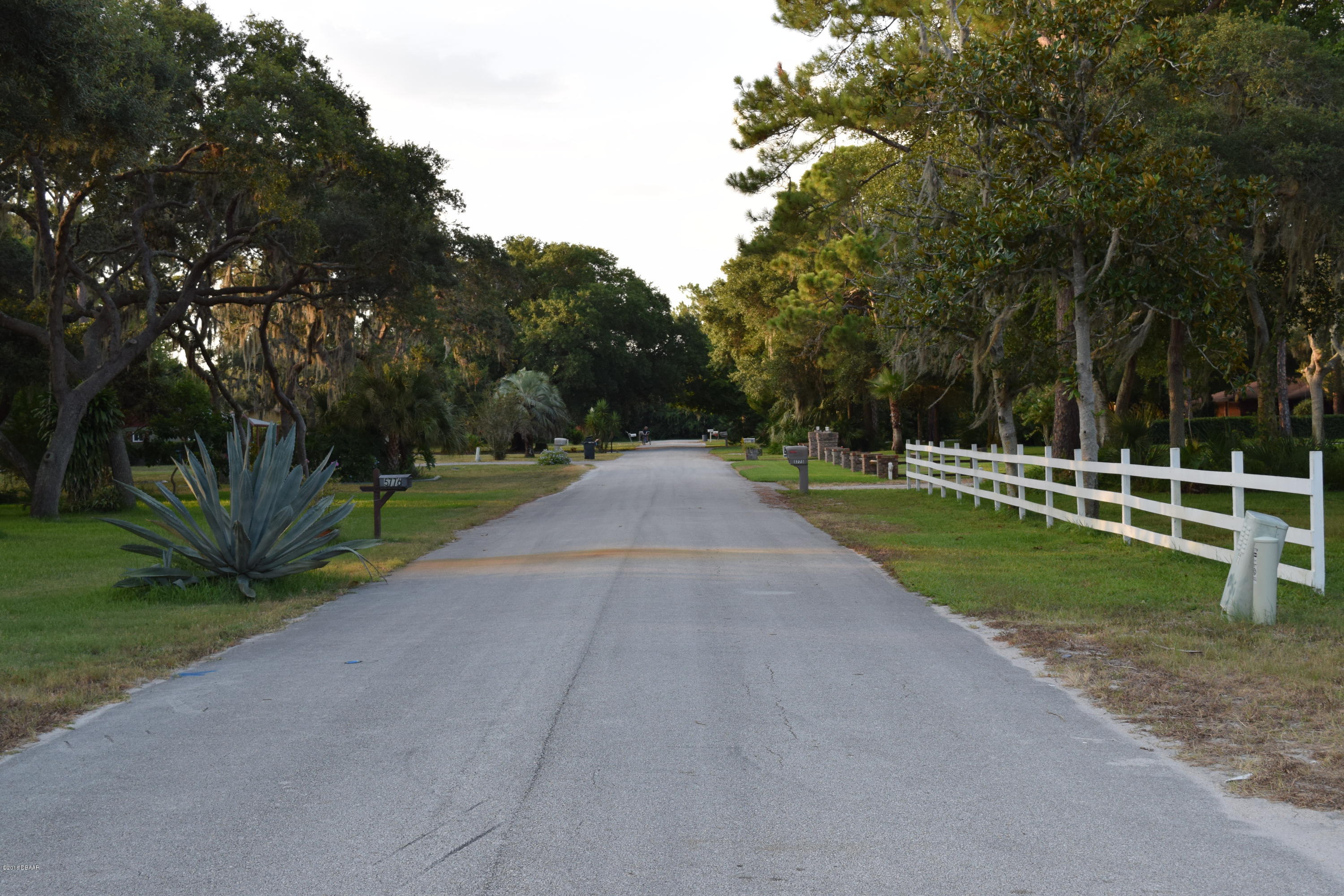 5779 Woodcliff Road Port Orange, FL 32127 - Photo 31 of 32 DSC_0034
