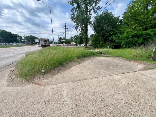 a view of a yard with palm trees