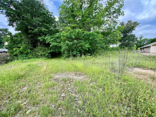 a view of a lush green space