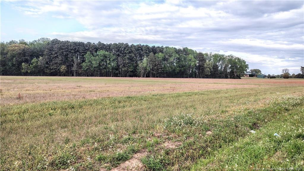 0 Tramway Road Sanford, NC 27330 - Photo 3 of 13 Photo 3