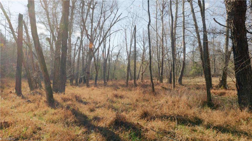 0 Middleton Loop Pine Hall, NC 27042 - Photo 14 of 50 Gallery Image 14