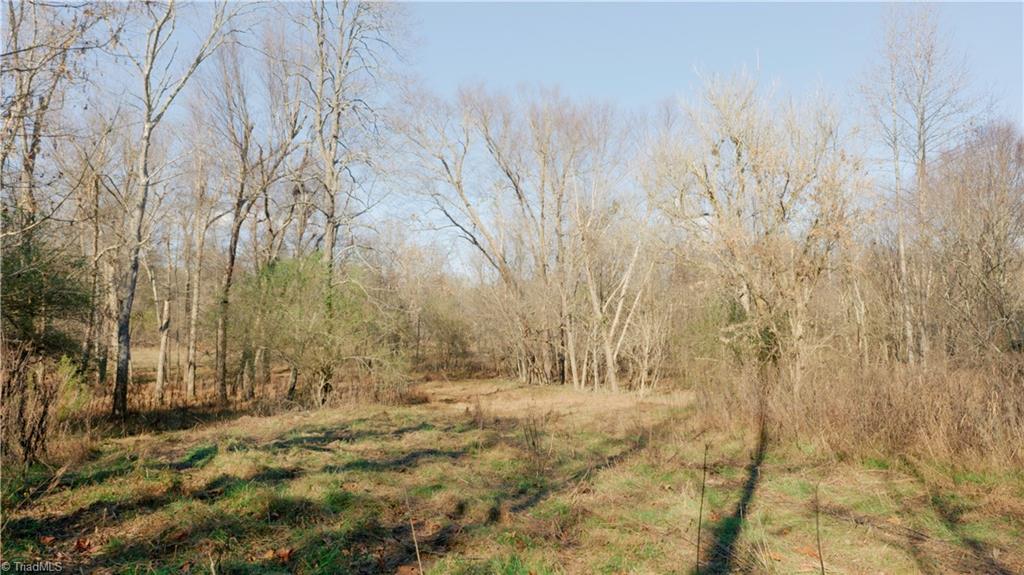 0 Middleton Loop Pine Hall, NC 27042 - Photo 15 of 50 Gallery Image 15
