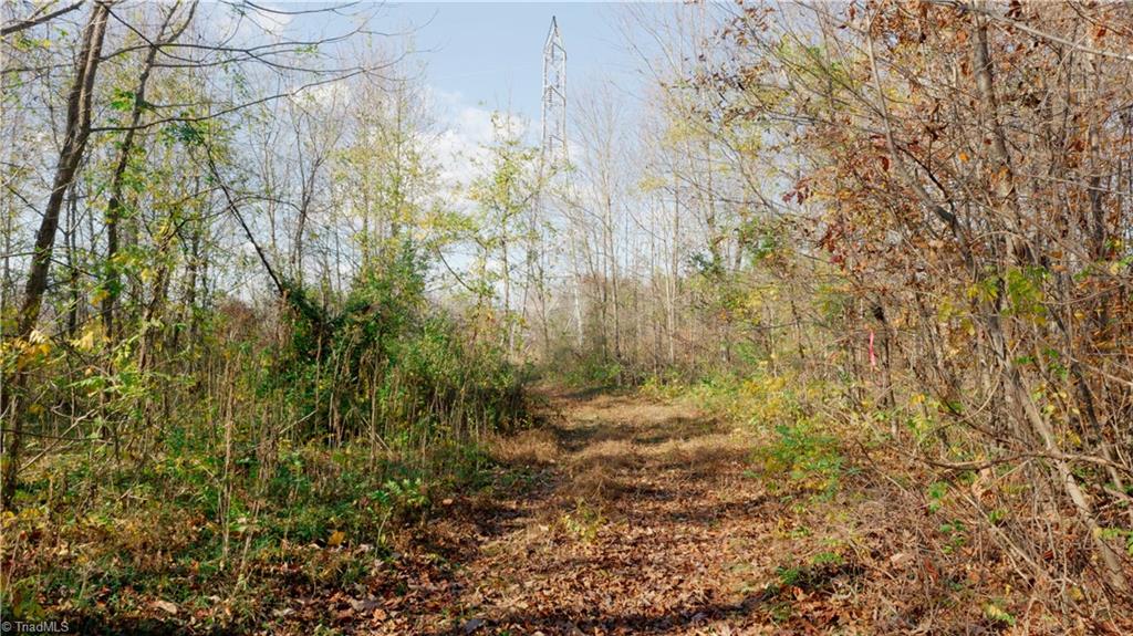 0 Middleton Loop Pine Hall, NC 27042 - Photo 18 of 50 Gallery Image 18