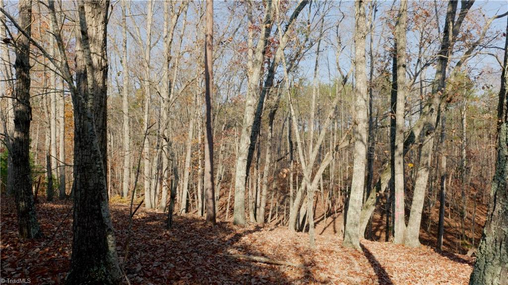 0 Middleton Loop Pine Hall, NC 27042 - Photo 20 of 50 Gallery Image 20