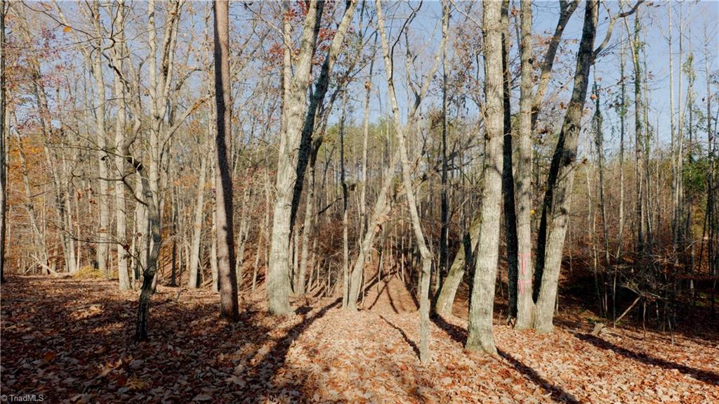 0 Middleton Loop Pine Hall, NC 27042 - Photo 21 of 50 Gallery Image 21