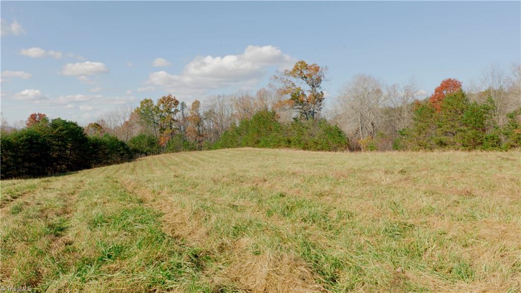 0 Middleton Loop Pine Hall, NC 27042 - Photo 22 of 50 Gallery Image 22