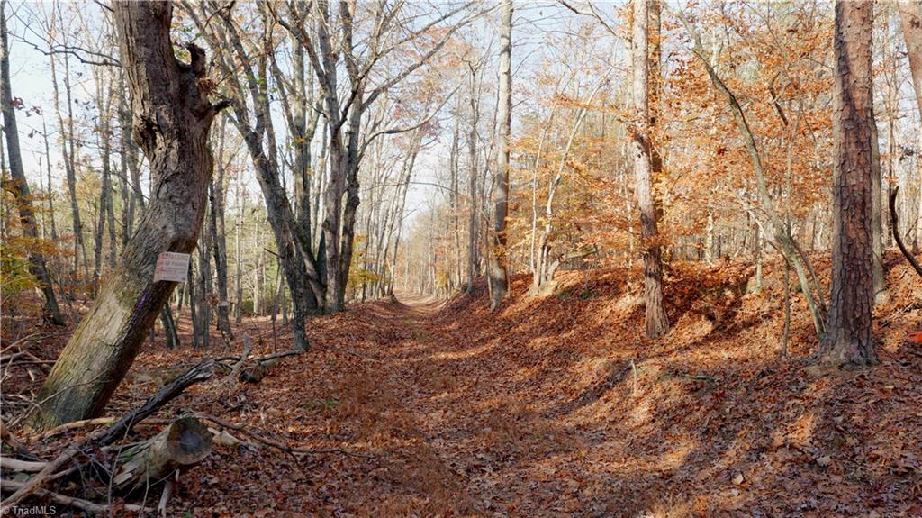 0 Middleton Loop Pine Hall, NC 27042 - Photo 27 of 50 Gallery Image 27