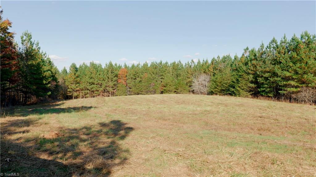 0 Middleton Loop Pine Hall, NC 27042 - Photo 28 of 50 Gallery Image 28