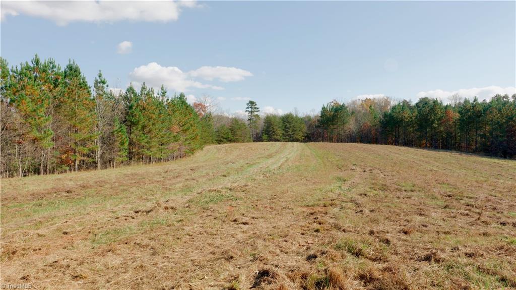 0 Middleton Loop Pine Hall, NC 27042 - Photo 29 of 50 Gallery Image 29
