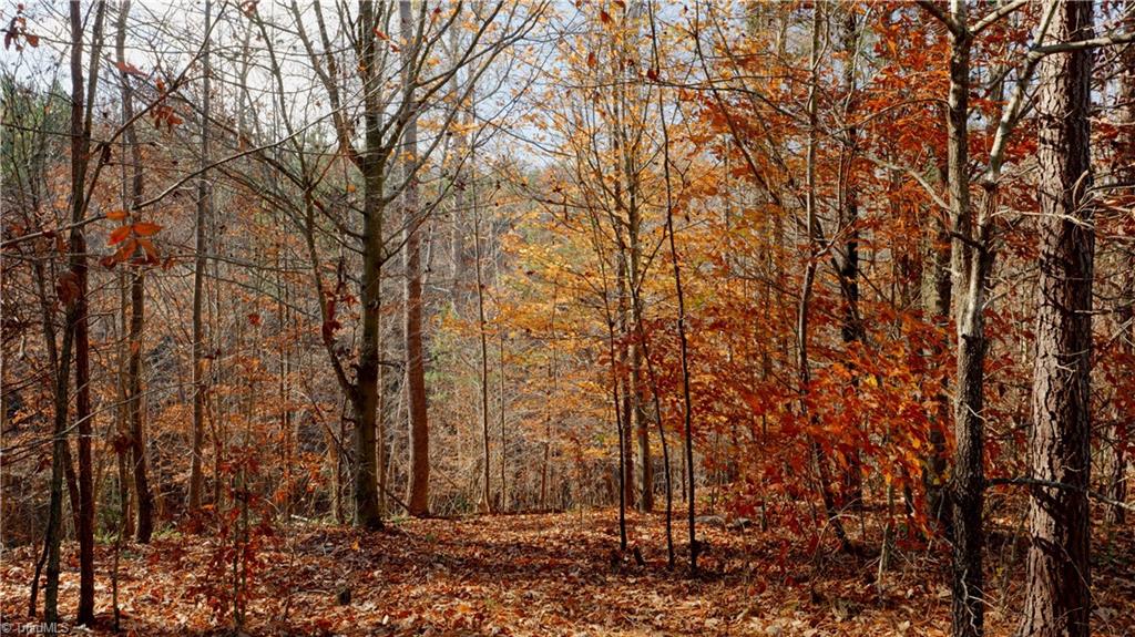 0 Middleton Loop Pine Hall, NC 27042 - Photo 30 of 50 Gallery Image 30