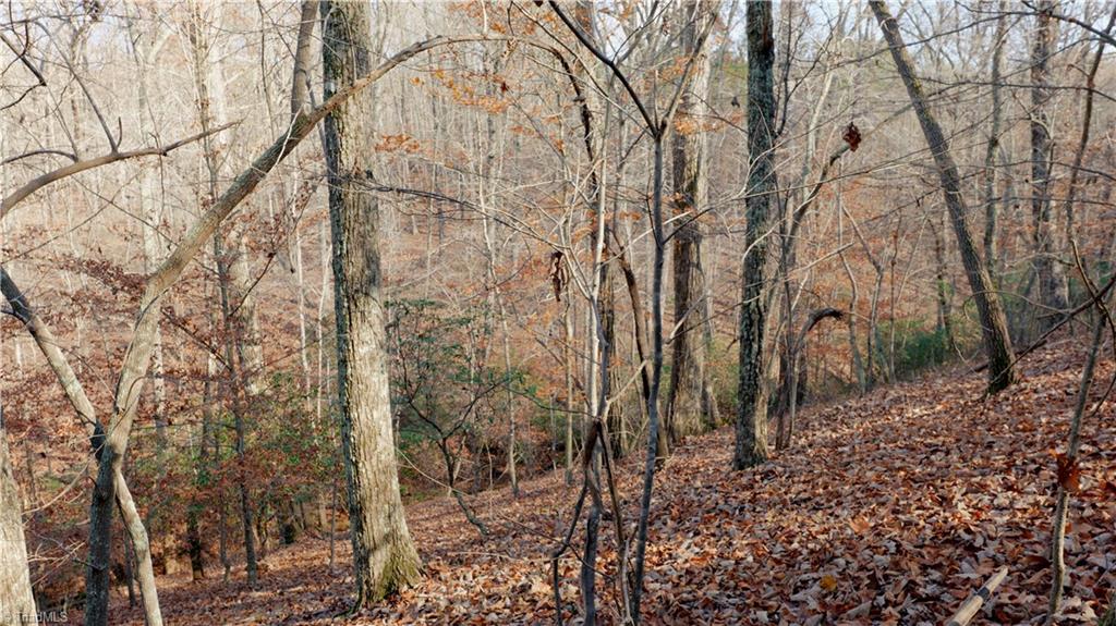 0 Middleton Loop Pine Hall, NC 27042 - Photo 31 of 50 Gallery Image 31
