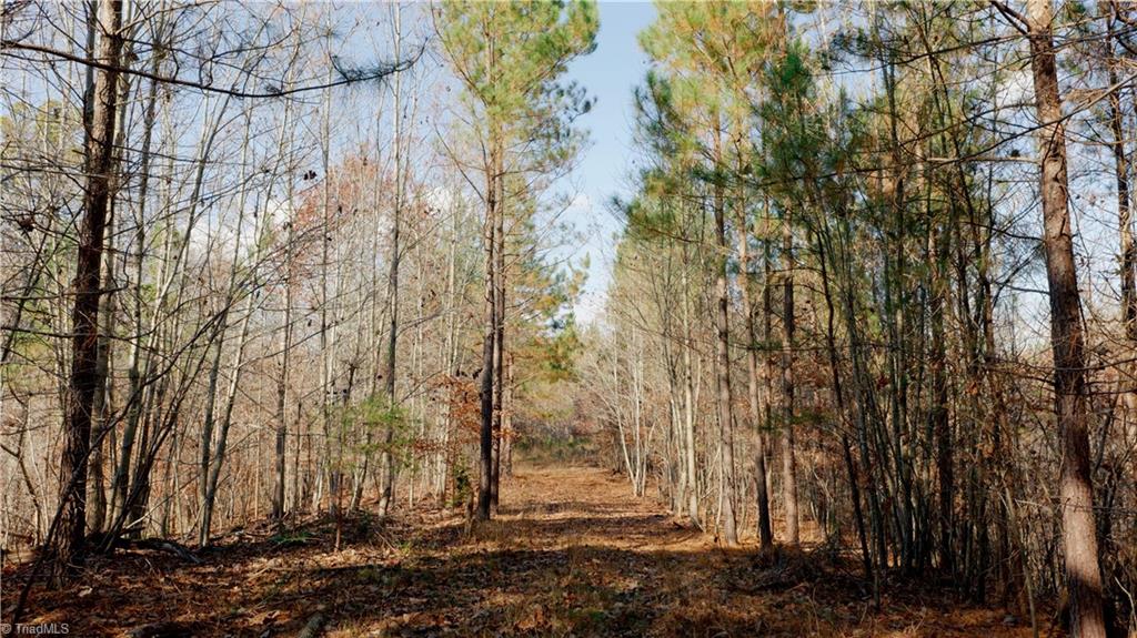 0 Middleton Loop Pine Hall, NC 27042 - Photo 32 of 50 Gallery Image 32