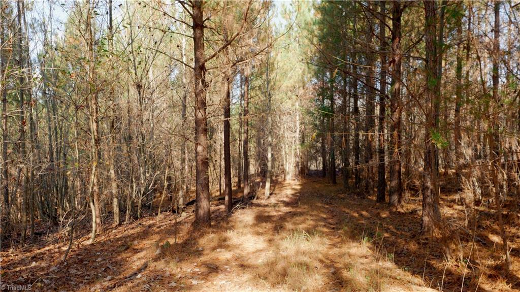 0 Middleton Loop Pine Hall, NC 27042 - Photo 34 of 50 Gallery Image 34