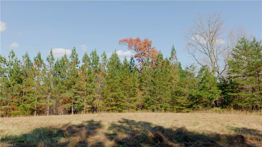 0 Middleton Loop Pine Hall, NC 27042 - Photo 35 of 50 Gallery Image 35