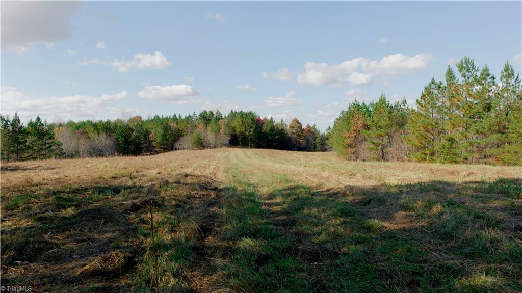 0 Middleton Loop Pine Hall, NC 27042 - Photo 36 of 50 Gallery Image 36