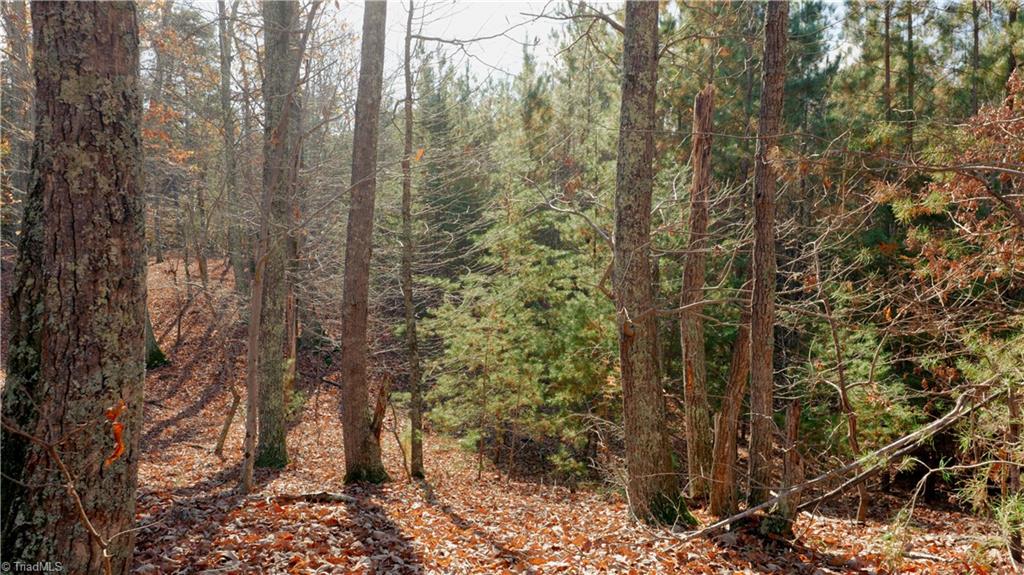 0 Middleton Loop Pine Hall, NC 27042 - Photo 38 of 50 Gallery Image 38