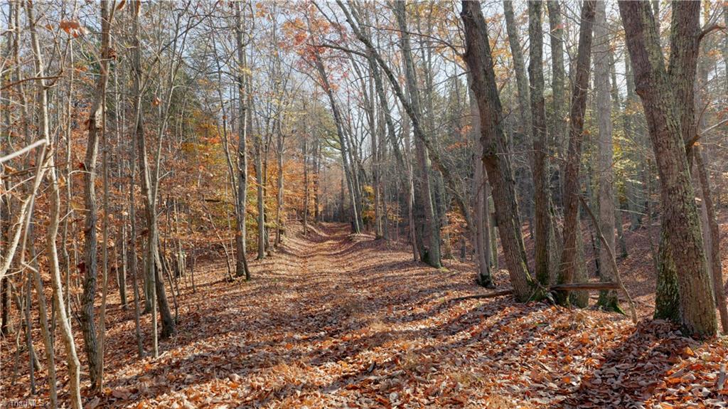 0 Middleton Loop Pine Hall, NC 27042 - Photo 39 of 50 Gallery Image 39