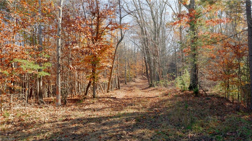 0 Middleton Loop Pine Hall, NC 27042 - Photo 40 of 50 Gallery Image 40