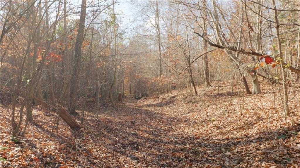 0 Middleton Loop Pine Hall, NC 27042 - Photo 10 of 50 Gallery Image 10