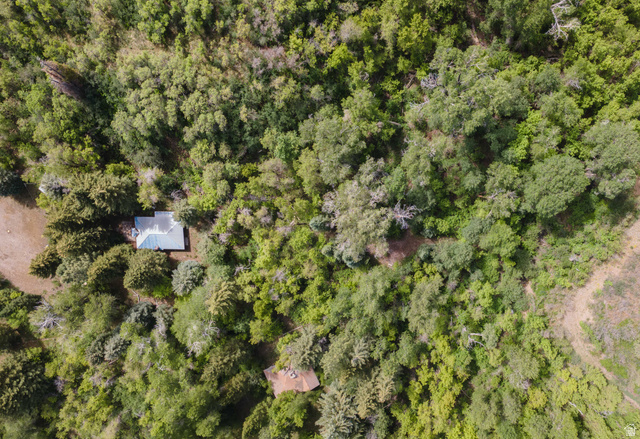 6449 North North Fork Road Eden, UT 84310 - Photo 31 of 38 Aerial perspective of a property enveloped by dense, mature trees