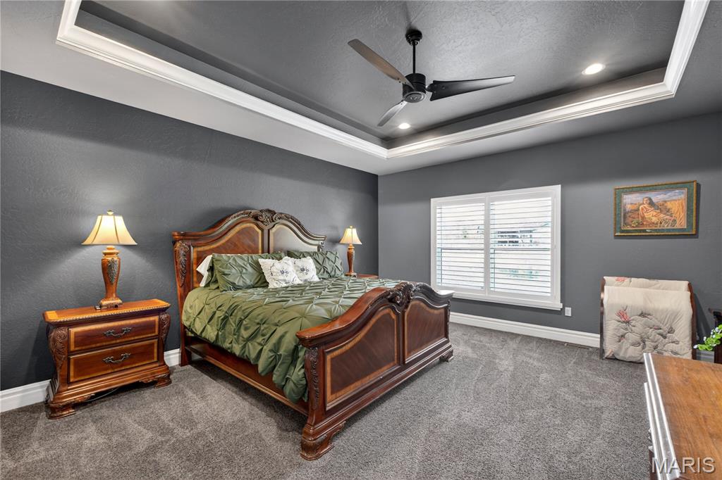 210 Luca James Point O'Fallon, IL 62269 - Photo 13 of 49