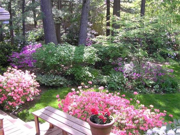 7 Randy Road Framingham, MA 01701 - Photo 25 of 29 Gallery Image 25