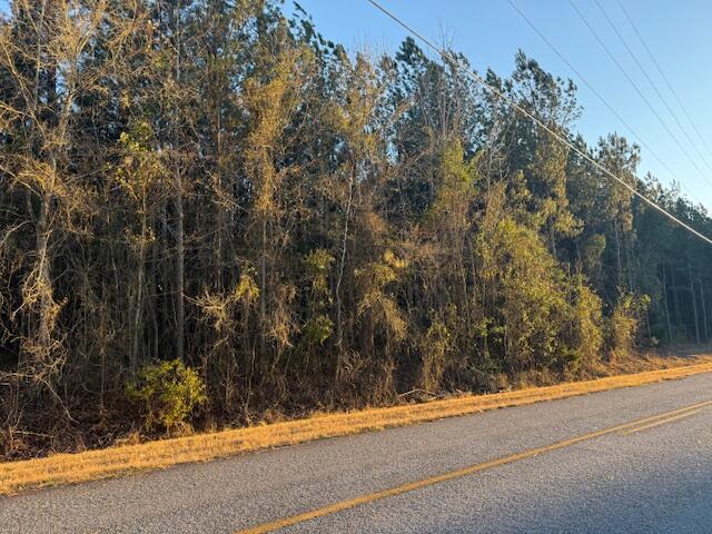 1398 Mauldin Road Mitchell, GA 30820 - Photo 1 of 37 IMG_6679