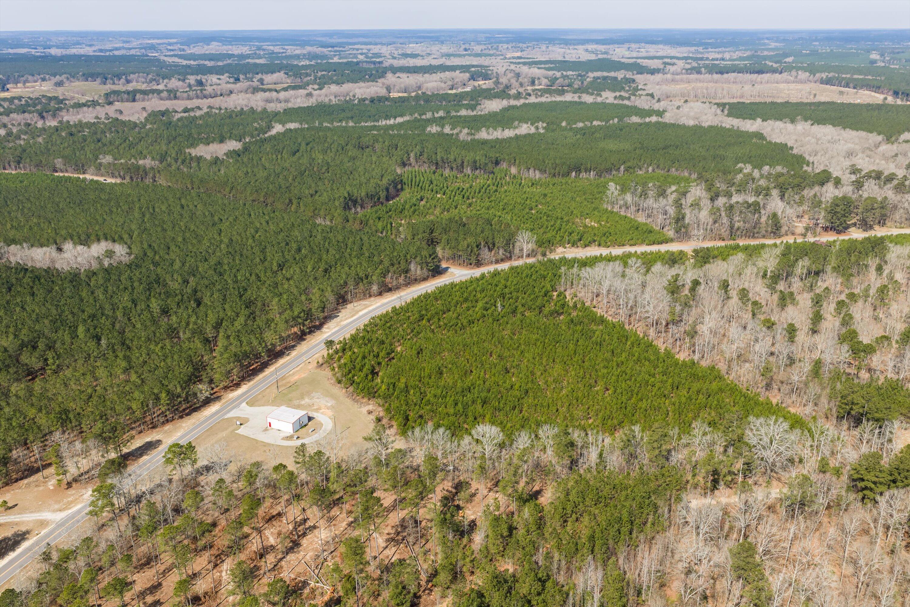 1398 Mauldin Road Mitchell, GA 30820 - Photo 11 of 37 02-DJI_20260302112011_0004_D-HDR
