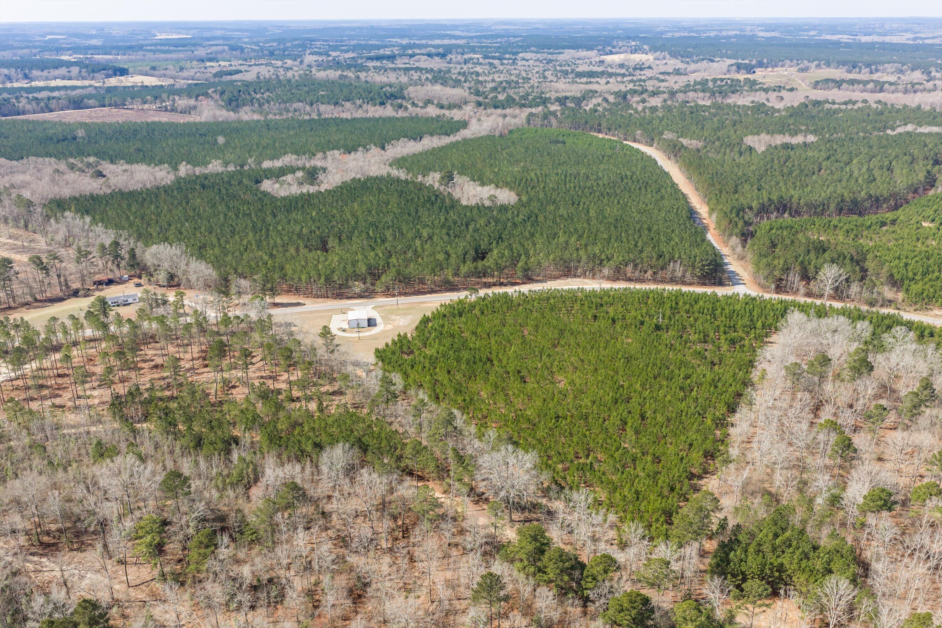 1398 Mauldin Road Mitchell, GA 30820 - Photo 12 of 37 03-DJI_20260302112042_0007_D-HDR