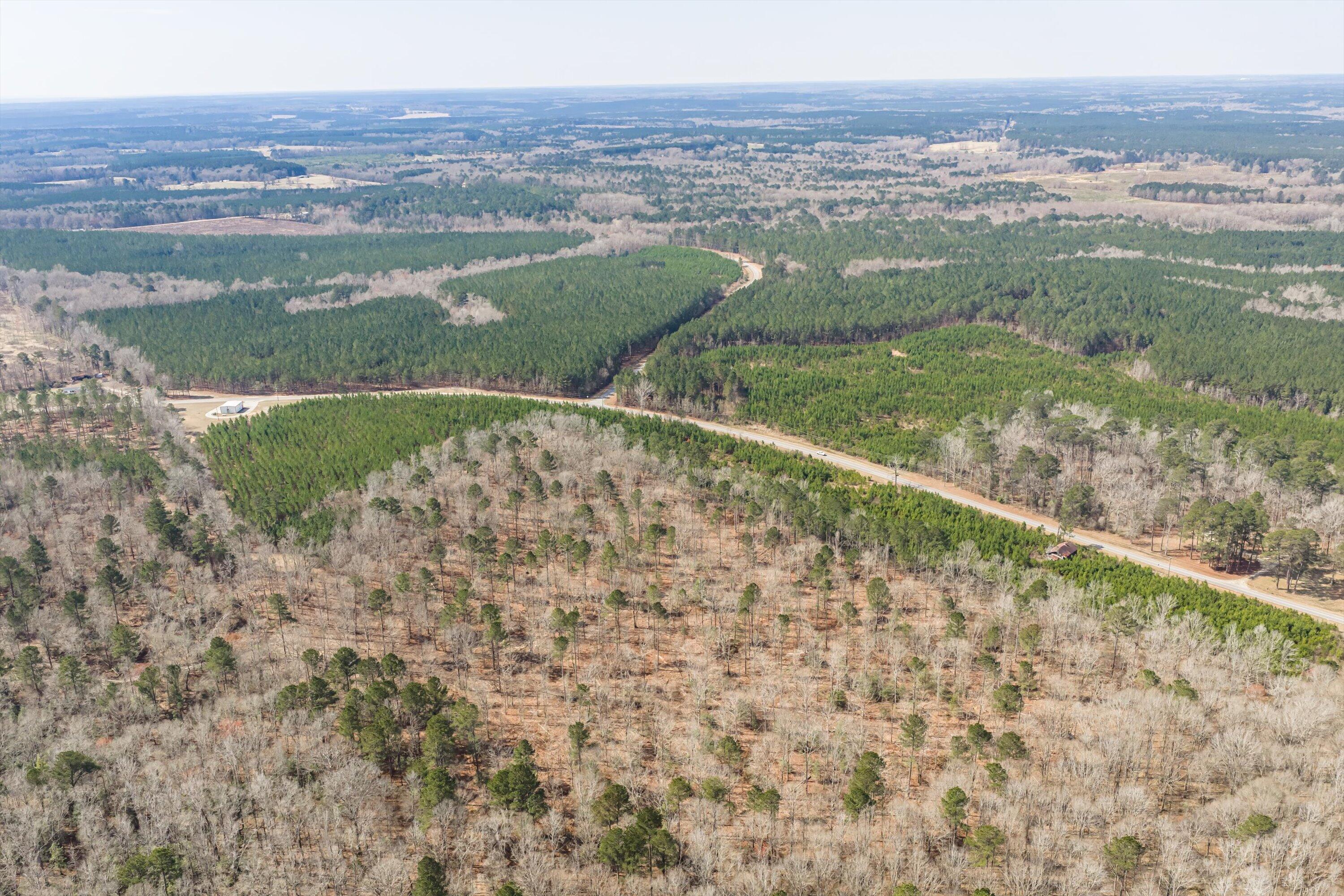 1398 Mauldin Road Mitchell, GA 30820 - Photo 13 of 37 04-DJI_20260302112126_0010_D-HDR