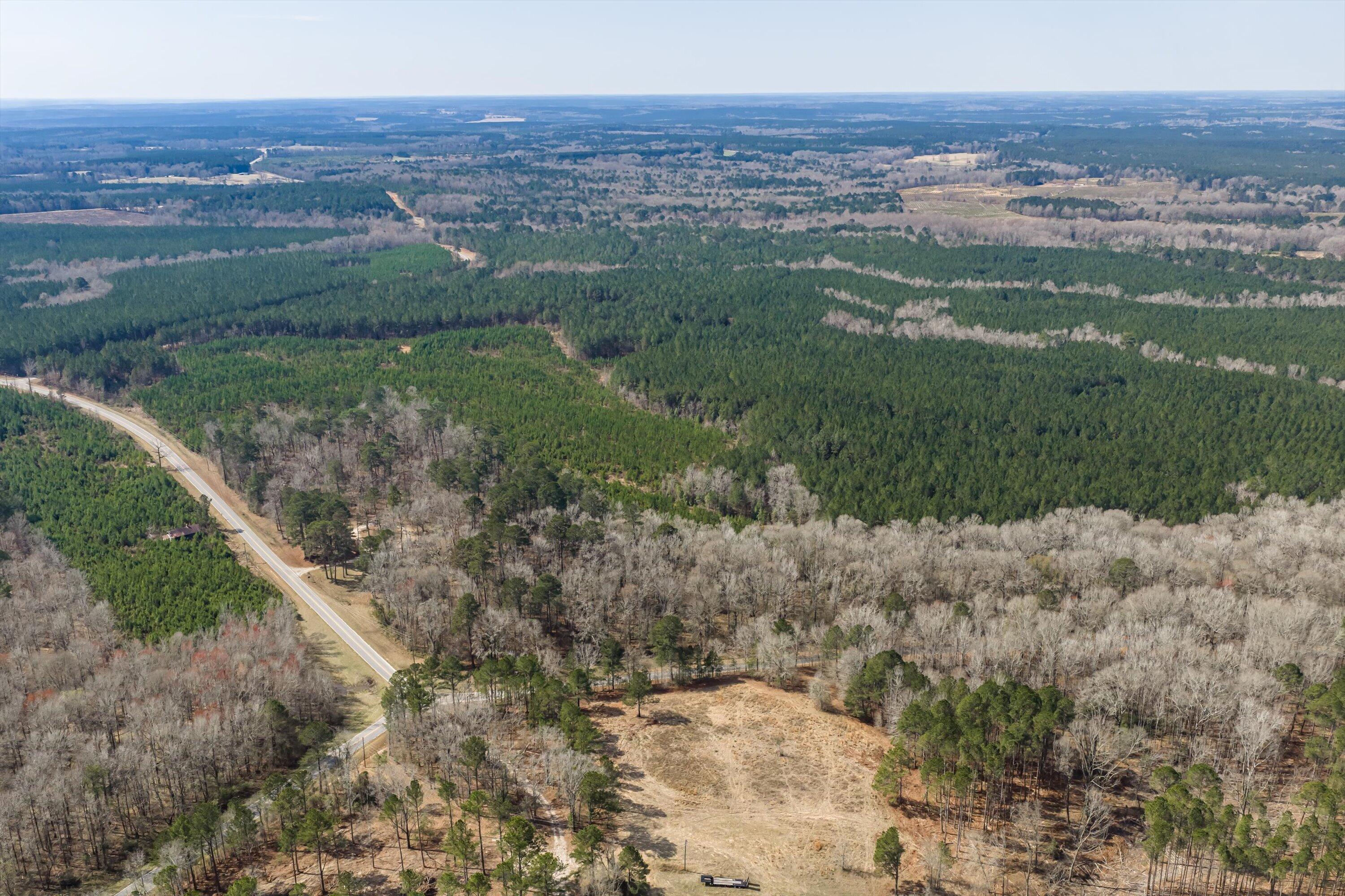 1398 Mauldin Road Mitchell, GA 30820 - Photo 15 of 37 06-DJI_20260302112214_0016_D-HDR