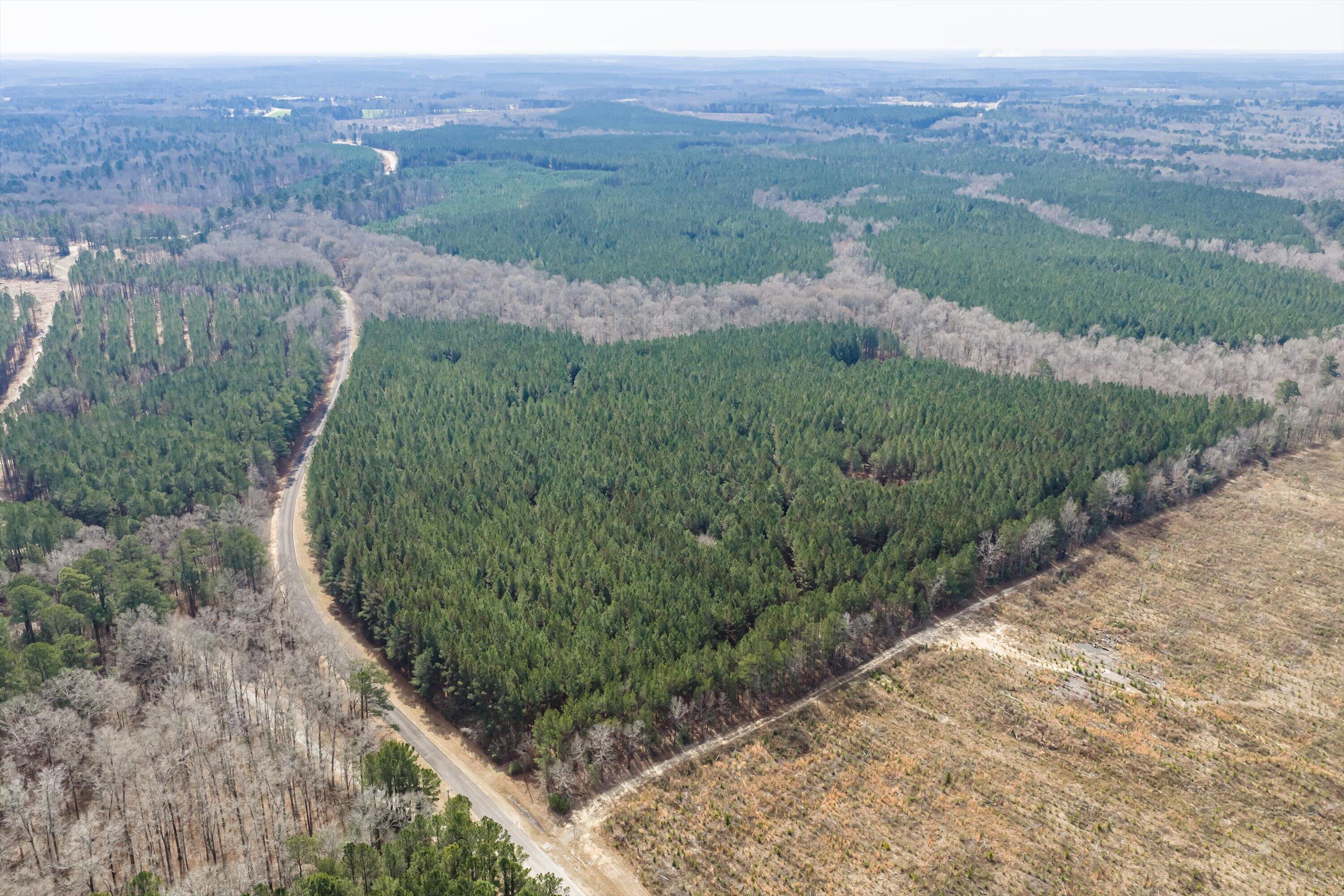 1398 Mauldin Road Mitchell, GA 30820 - Photo 16 of 37 07-DJI_20260302112419_0022_D-HDR