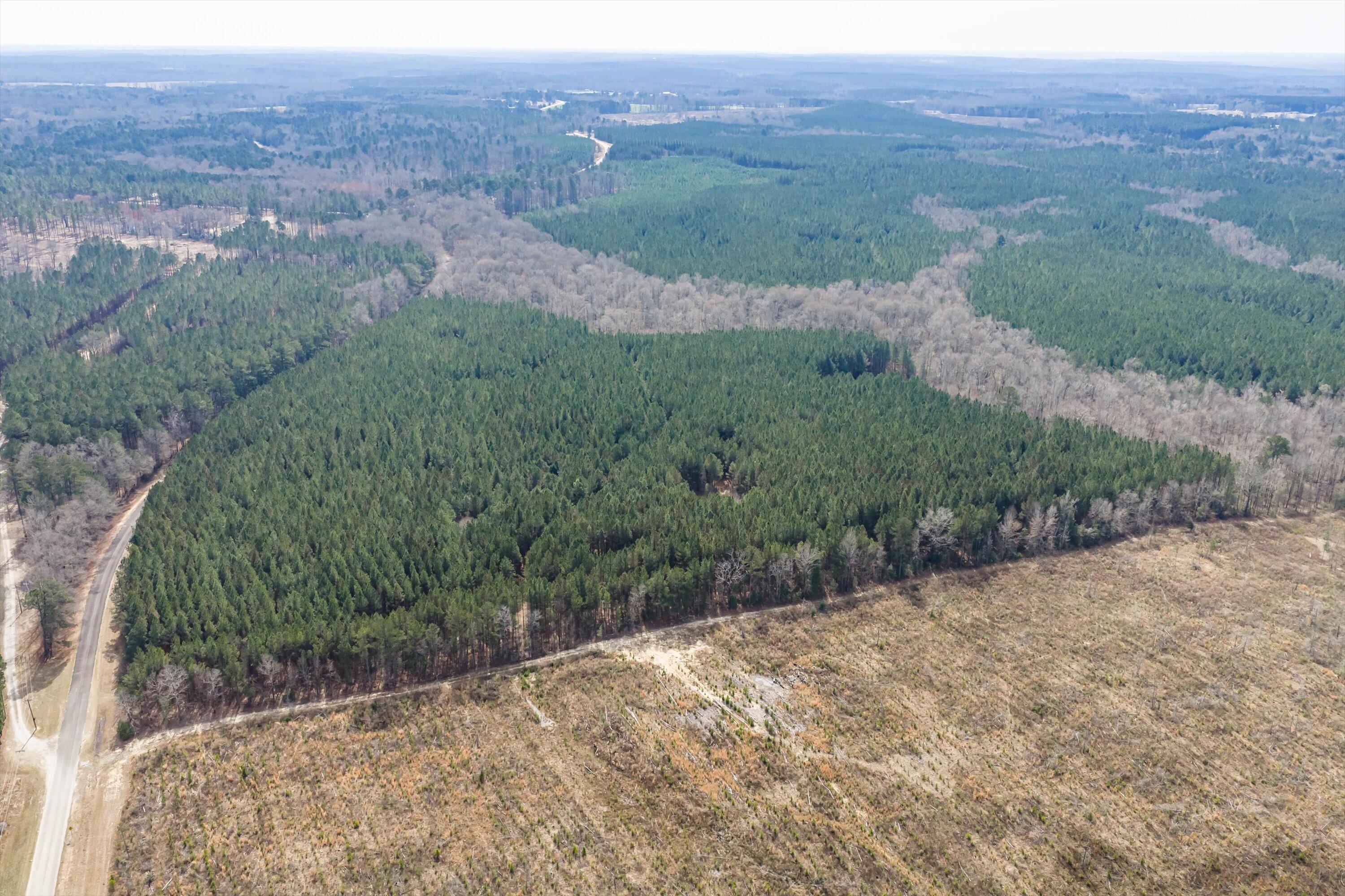 1398 Mauldin Road Mitchell, GA 30820 - Photo 17 of 37 08-DJI_20260302112434_0025_D-HDR