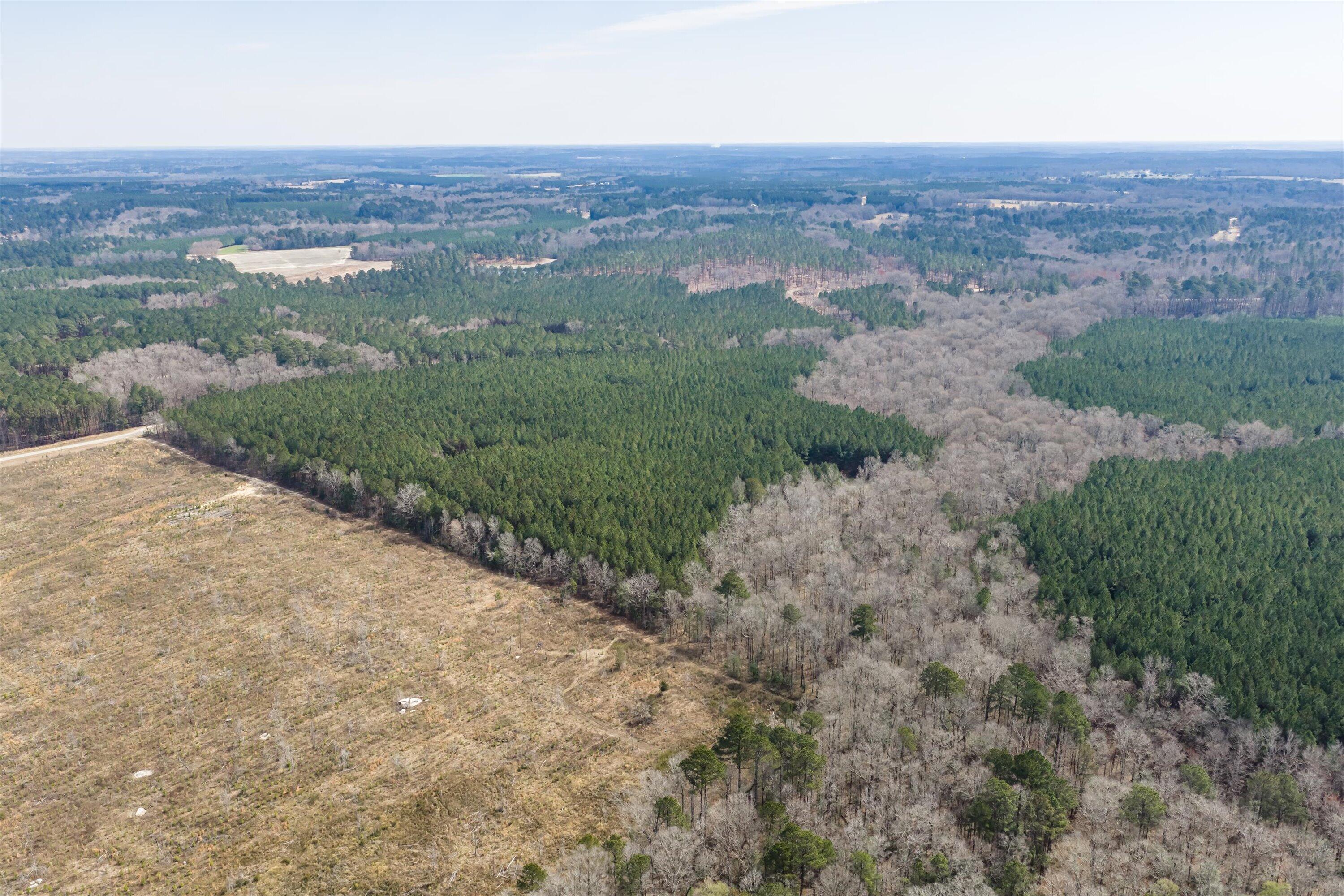 1398 Mauldin Road Mitchell, GA 30820 - Photo 18 of 37 09-DJI_20260302112547_0029_D-HDR