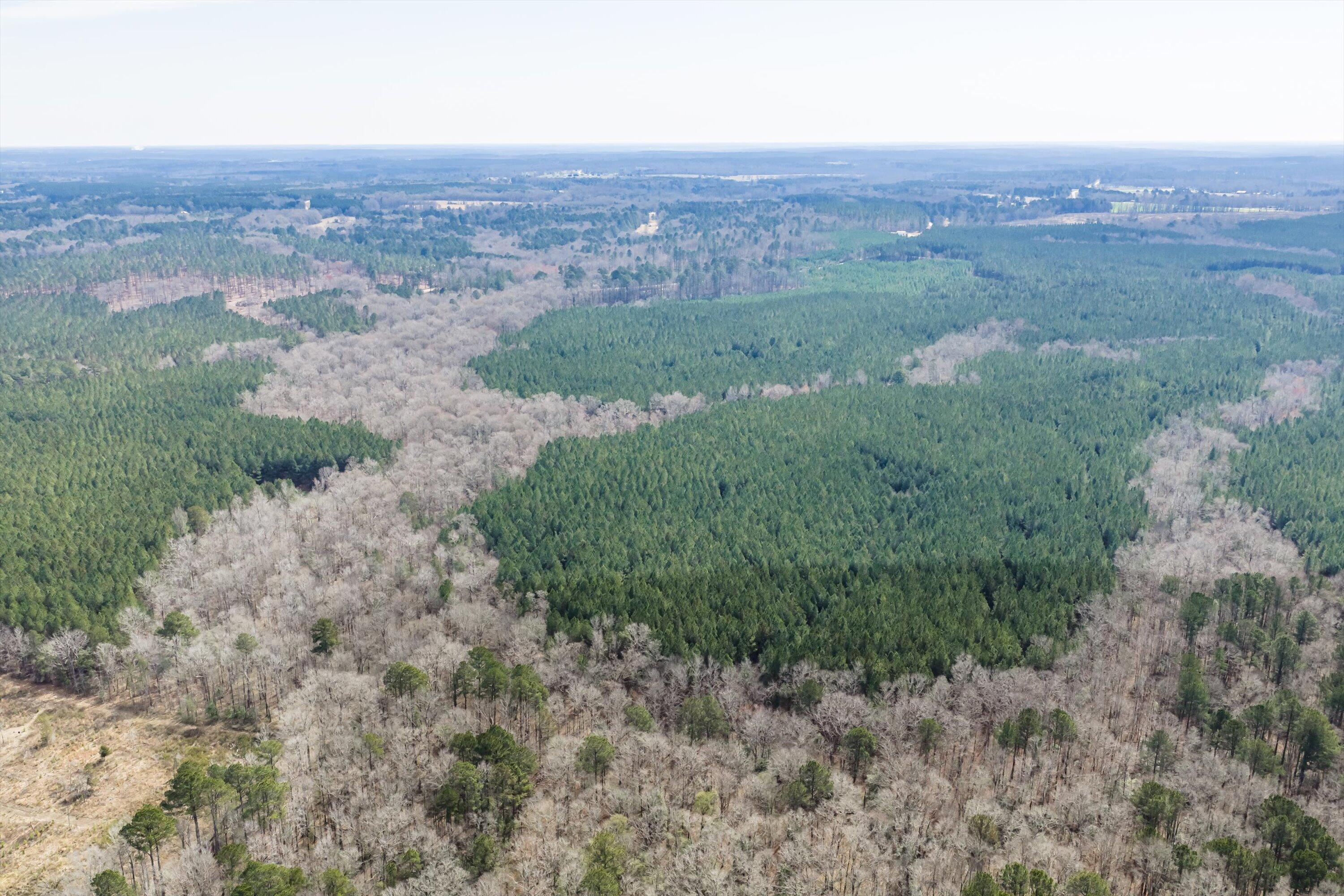 1398 Mauldin Road Mitchell, GA 30820 - Photo 19 of 37 10-DJI_20260302112555_0032_D-HDR