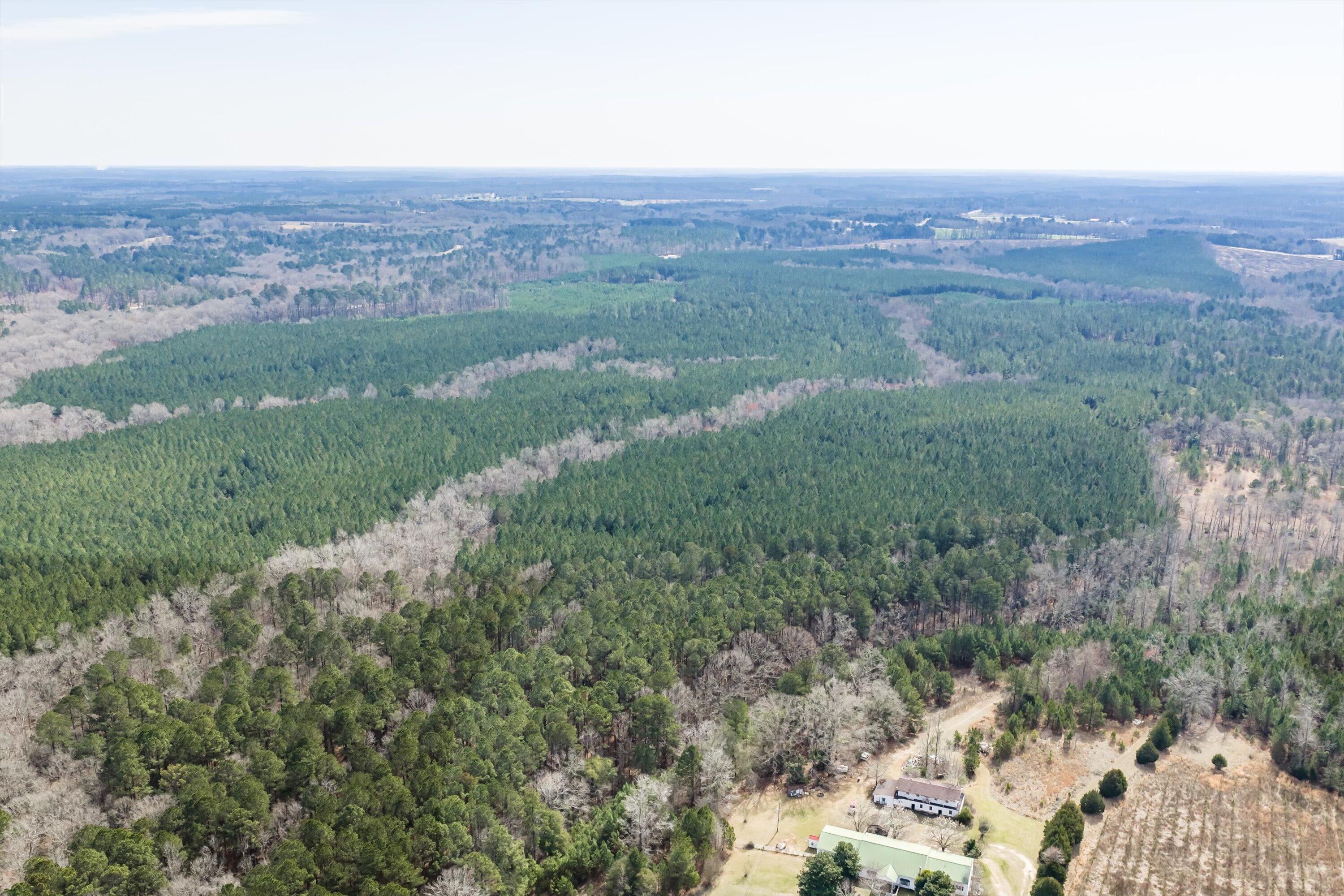 1398 Mauldin Road Mitchell, GA 30820 - Photo 20 of 37 11-DJI_20260302112618_0035_D-HDR