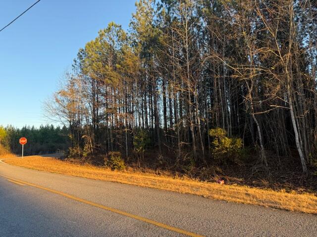 1398 Mauldin Road Mitchell, GA 30820 - Photo 2 of 37 IMG_6680