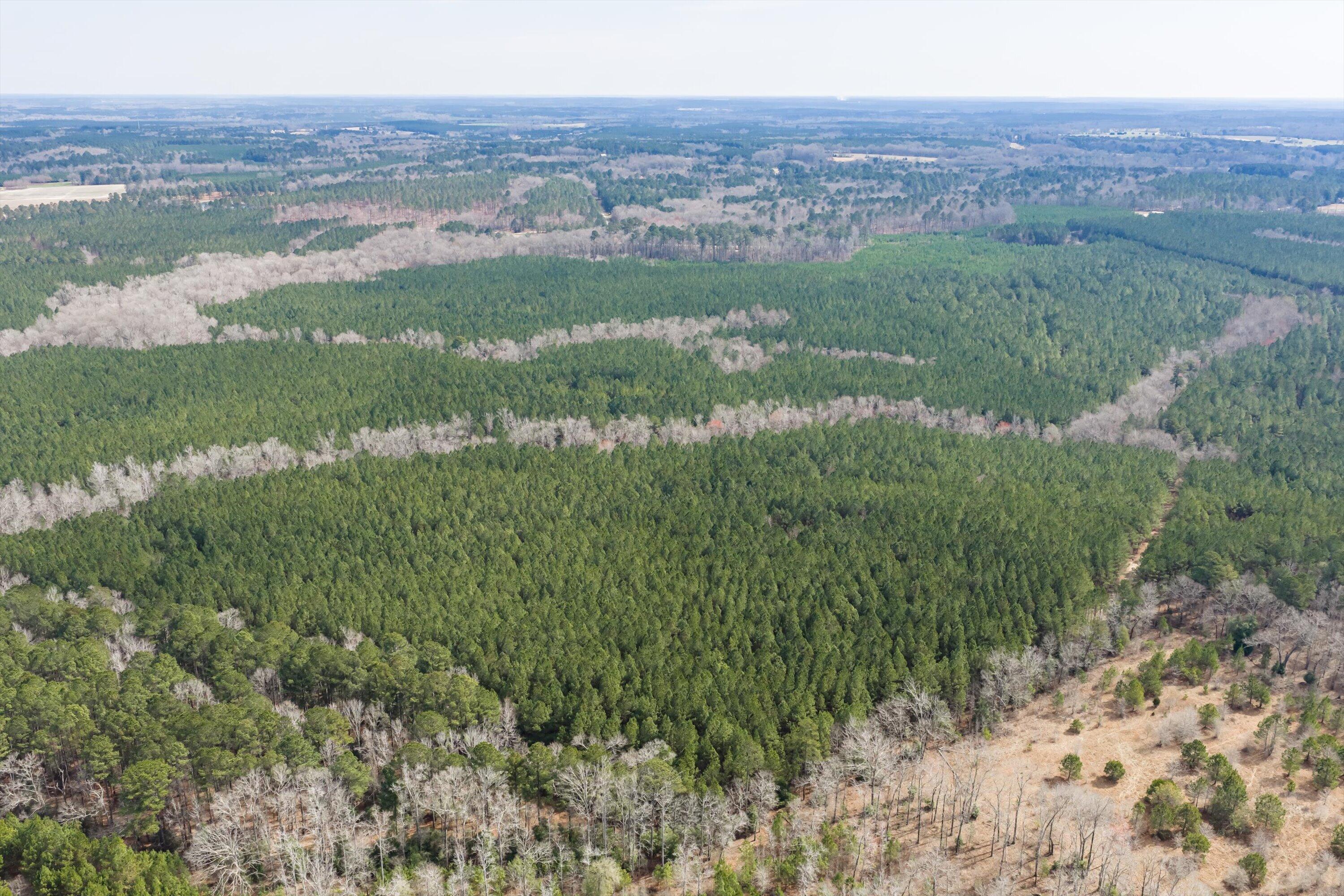 1398 Mauldin Road Mitchell, GA 30820 - Photo 21 of 37 12-DJI_20260302112719_0039_D-HDR