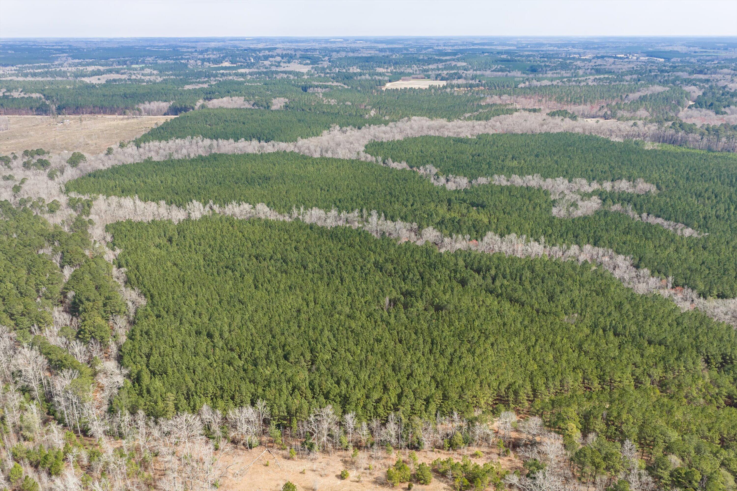 1398 Mauldin Road Mitchell, GA 30820 - Photo 22 of 37 13-DJI_20260302112746_0042_D-HDR