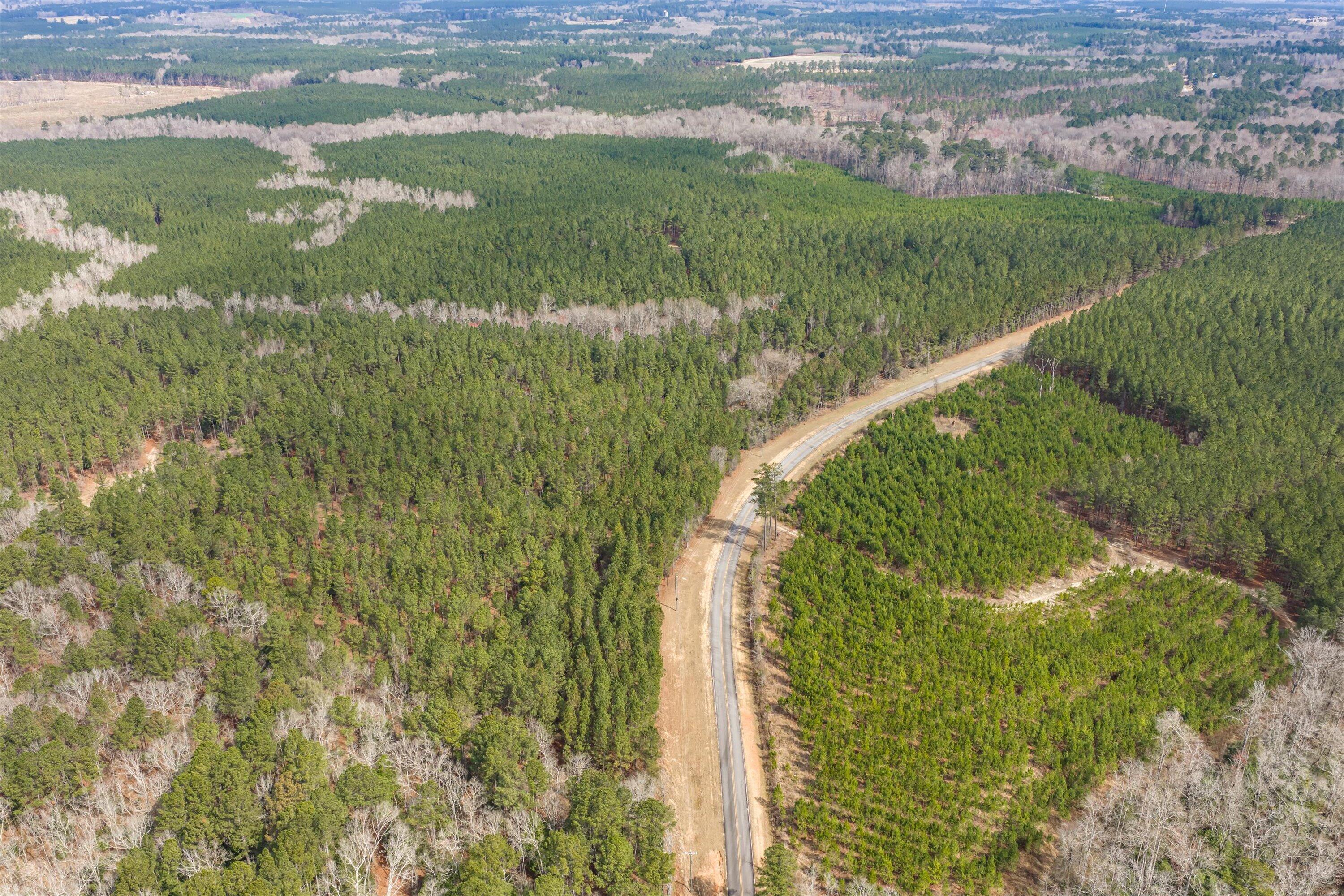 1398 Mauldin Road Mitchell, GA 30820 - Photo 23 of 37 14-DJI_20260302112932_0046_D-HDR