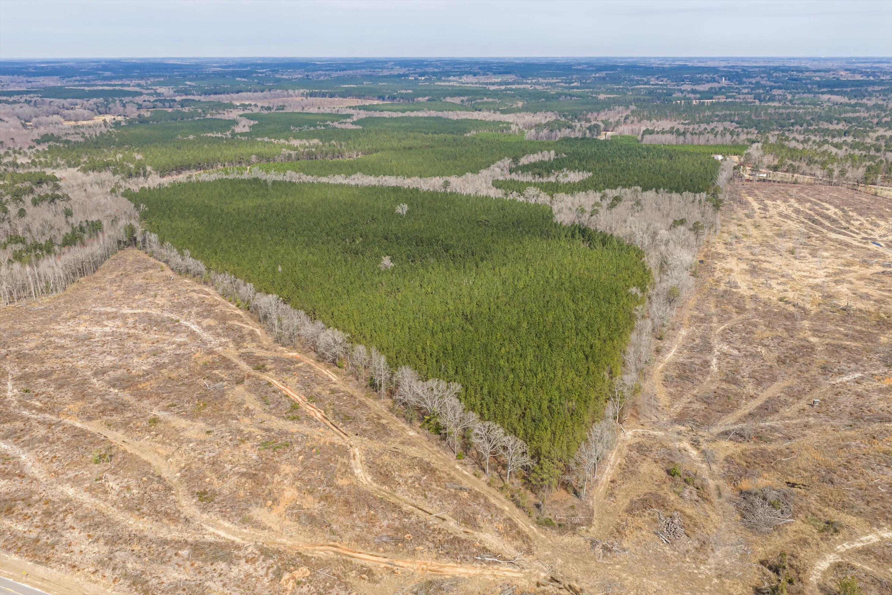 1398 Mauldin Road Mitchell, GA 30820 - Photo 24 of 37 15-DJI_20260302113252_0051_D-HDR